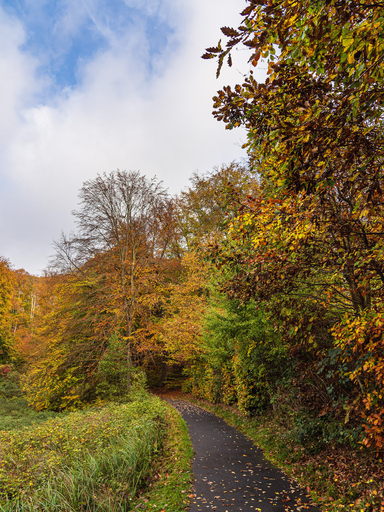 Landschaft im Herbst in der Feldberger Seenlandschaft | Landschaft im Herbst in der Feldberger Seenlandschaft.