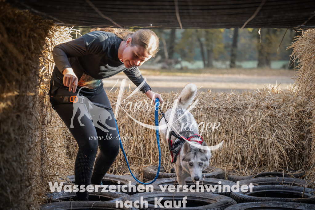 0953_ZZ95264 | kk-dogfotos