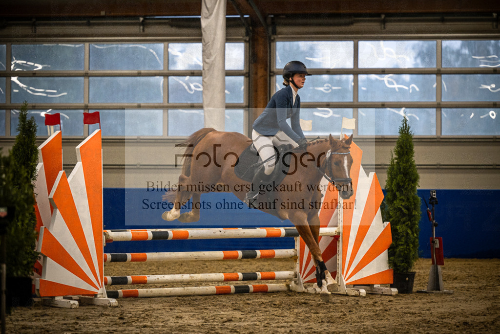 DOS_1386 | Entdecke hochwertige Reitturnierfotos von Foto Oger. Professionell, emotional und authentisch – jetzt Lieblingsmomente im Shop bestellen.Deutschlandweite Turnierfotografie. - Realisiert mit Pictrs.com