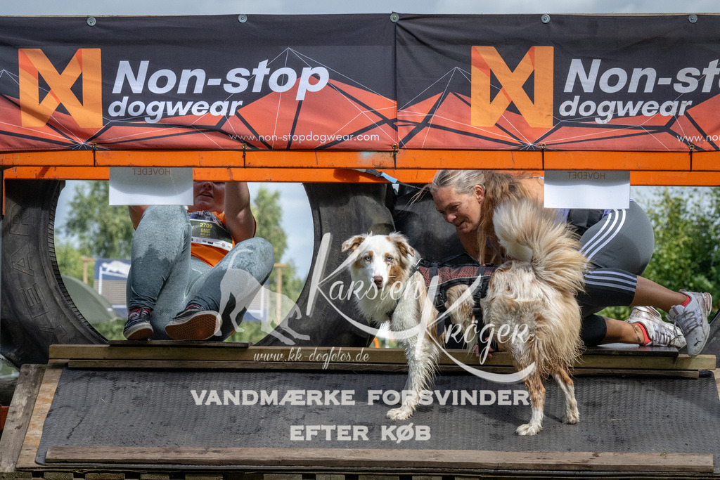 1136_ZZ92717 | kk-dogfotos