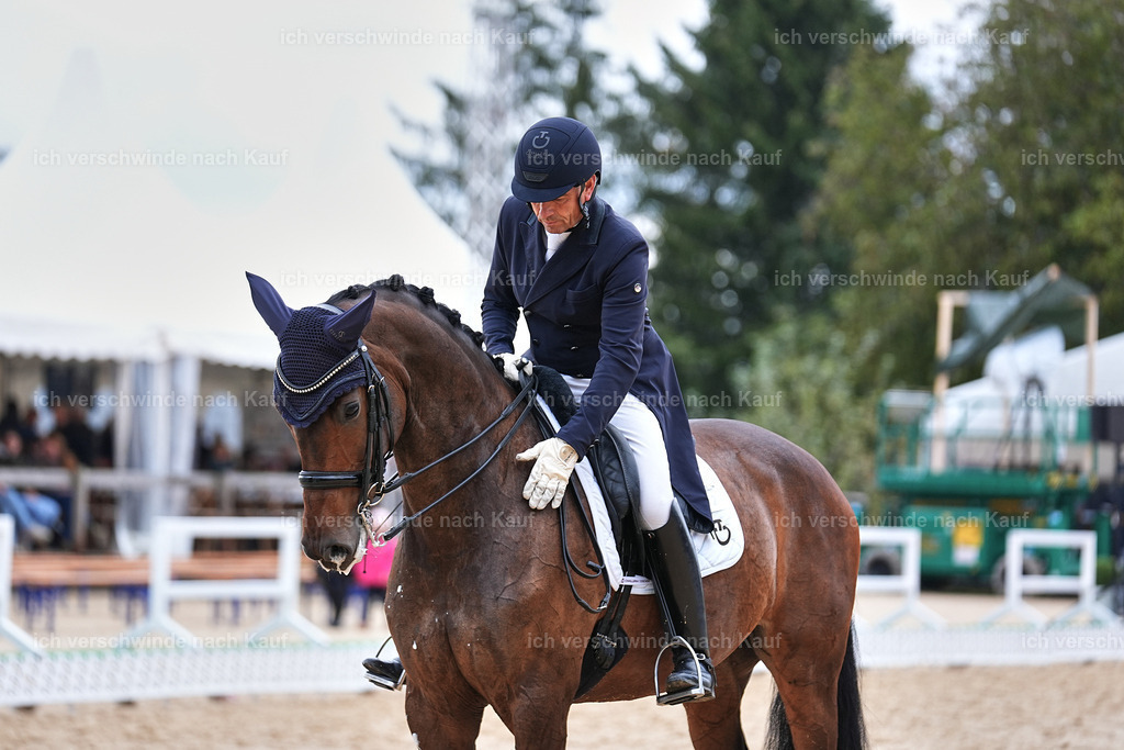 12-226-DRESSUR  S___  -Marixx-5205 | working equitationturnier fotograf videograf stoibphotography marixx film working equitation deutschland reitsport turnierfotografie eventfotografie equestrian events