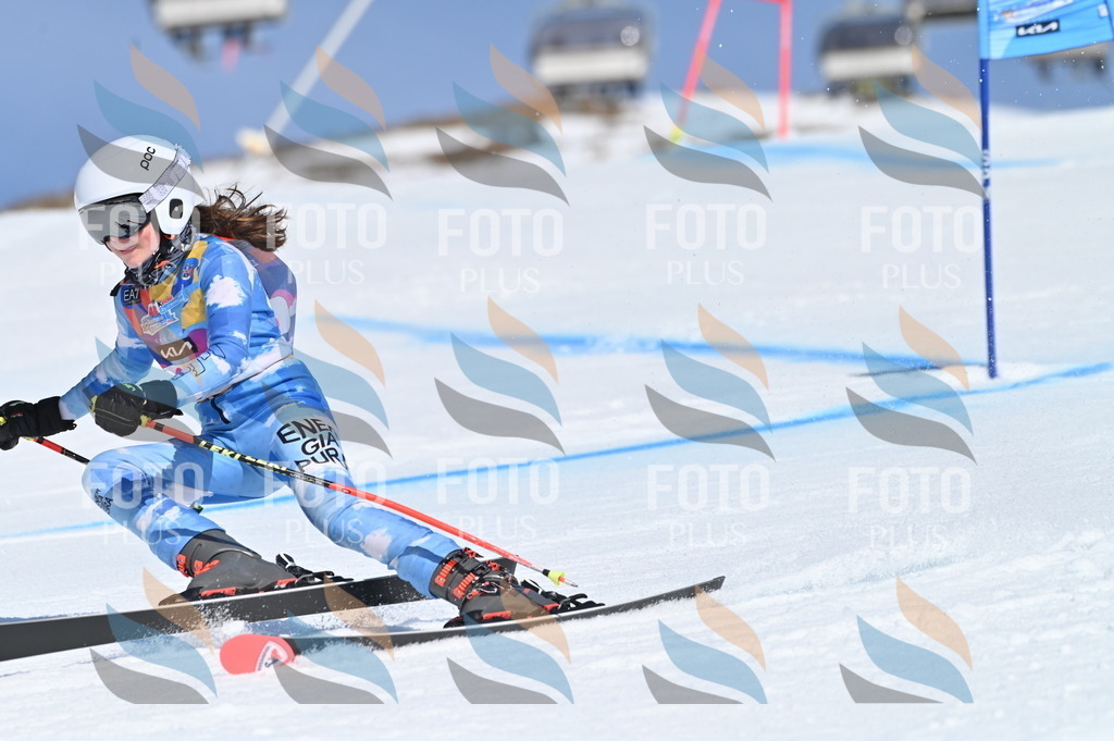 BGV_9127 | holidayphoto