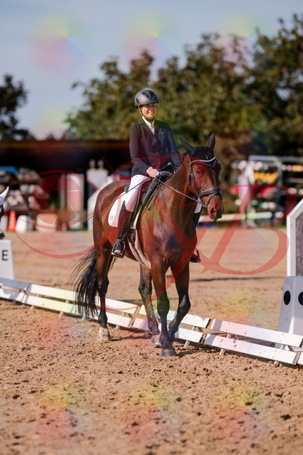 2026_10_03_Siefer-Hof_130250_Z81_57877928 | Professionelle Reitsport-, Turnier- und Eventfotografie von Robert Broda. Galerien mit ausgewählten und bearbeiteten Bildern direkt online ansehen und bestellen.