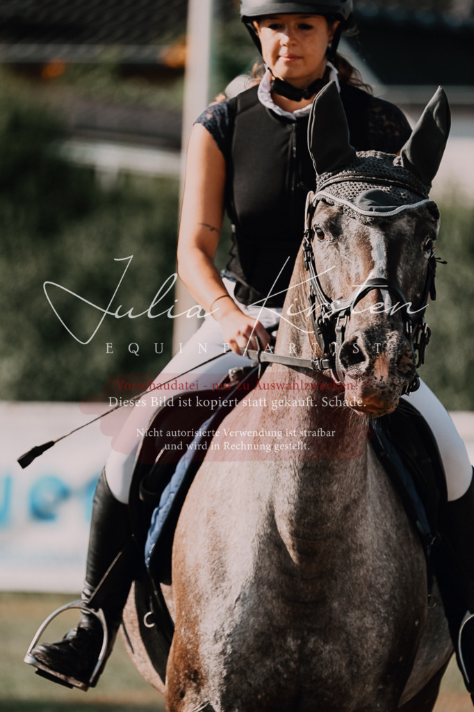 DSC_4480 | Pferde- und Turnierfotografie in Westsachsen. Pferdeportraits, Auftragszeichnungen und intuitive Kunst.
