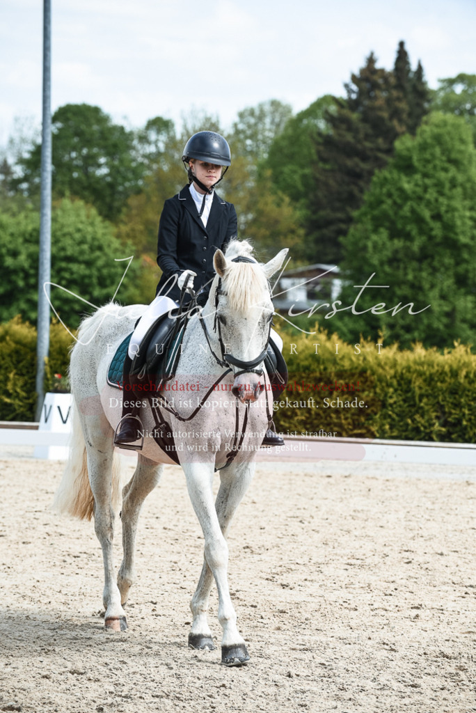 20230518_JK-Röhrsdorf-11-0634 | Pferde- und Turnierfotografie in Westsachsen. Pferdeportraits, Auftragszeichnungen und intuitive Kunst.