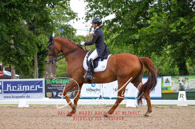 DKP41600 | Turnierfotos kaufen im Webshop von Daniel Kuhl Photography – entdecke professionelle Reitsportfotos aus Turnieren & Events. Hochwertige Turnierbilder online bestellen & sichern. Jetzt Fotos von Reitsportturnieren kaufen!