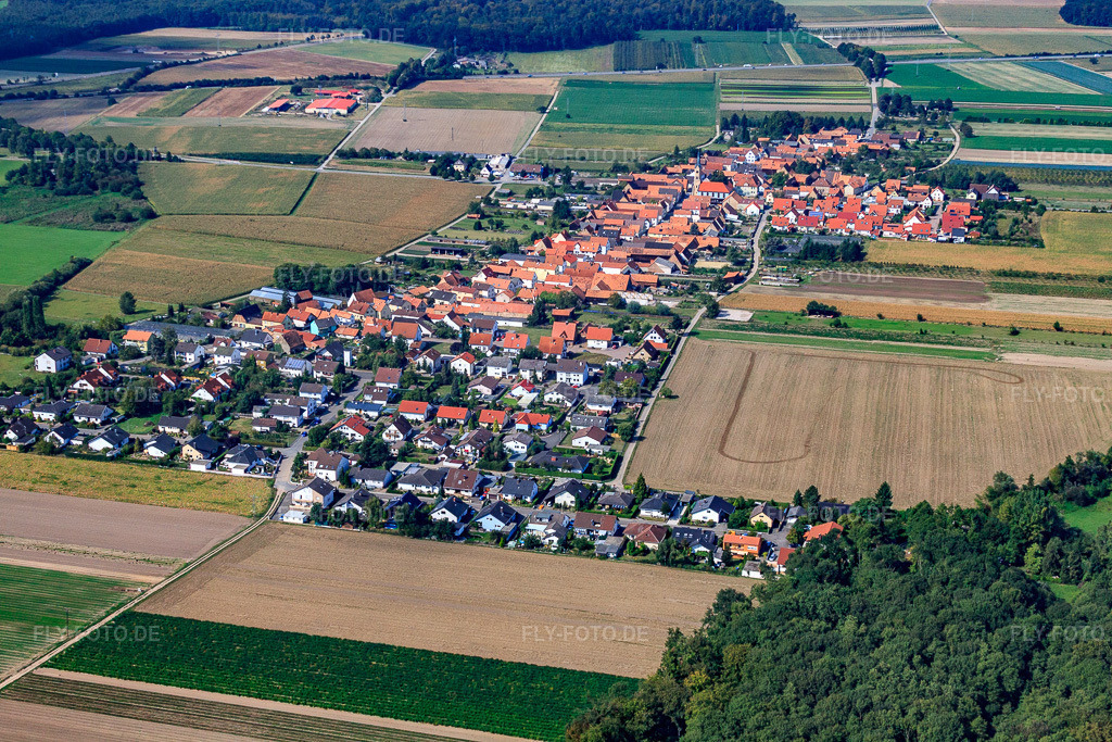 Luftbild: Ortsansicht von Osten in Erlenbach bei Kandel im Bundesland Rheinland-Pfalz in Deutschland. Foto: IMG_21213.jpg vom 13.09.2009 durch Werner Riehm/FLY-FOTO.de