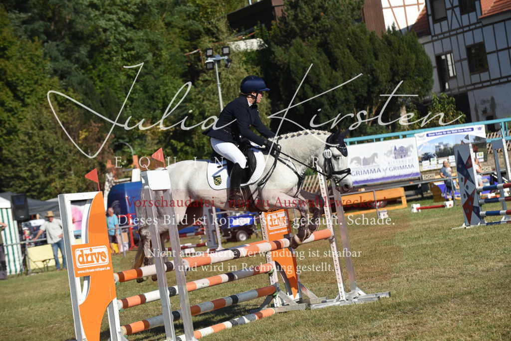 DSC_5319 | Pferde- und Turnierfotografie in Westsachsen. Pferdeportraits, Auftragszeichnungen und intuitive Kunst.
