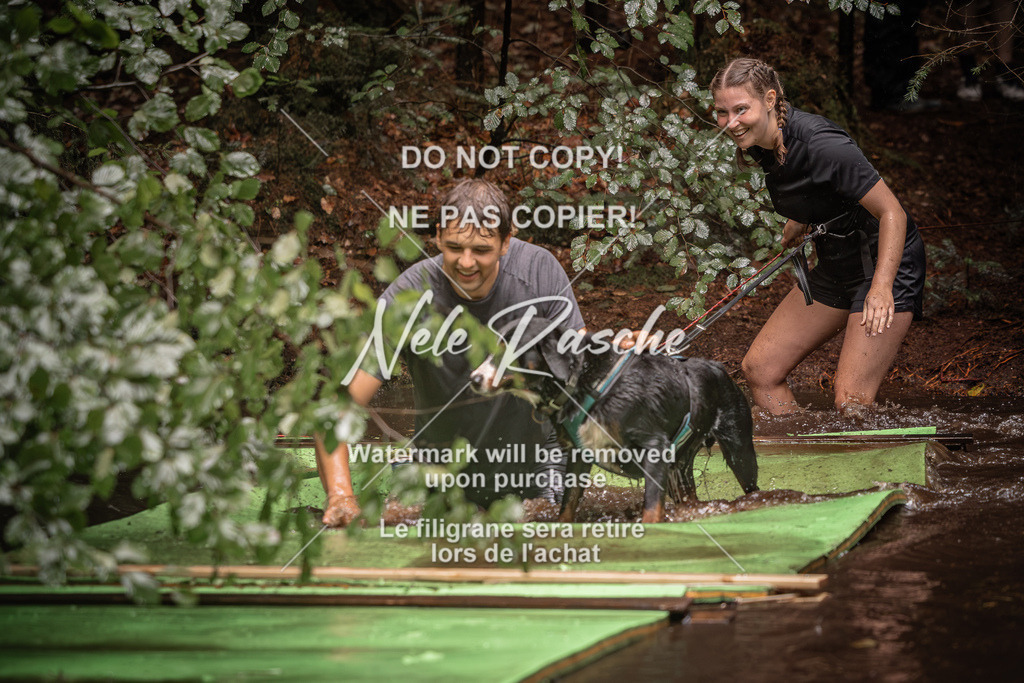 nelerasche_Wingst_Sa1330-1400_146 | nelerasche