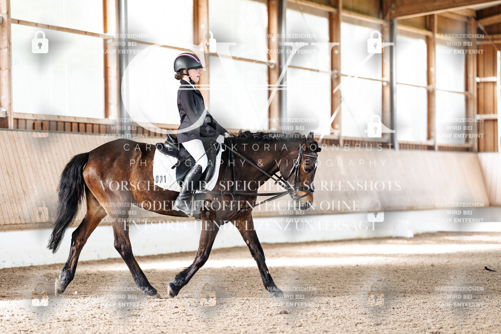 CK909426 | Turnierfotografie Pferdefotografie Trier Rheinland-Pfalz Pferdesport Reitsport Tierfotografie Sportfotografie Pferdevideo Pferdevideografie Equestrianvideography equestrianphotography  - Realized with Pictrs.com