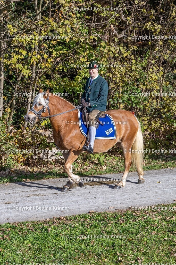 LBT24-934 | foto-bettina-krinner - Realisiert mit Pictrs.com