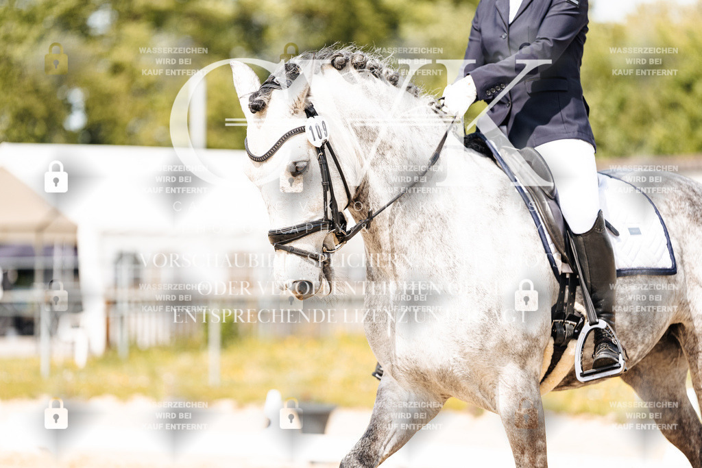 CK901599 | Turnierfotografie Pferdefotografie Trier Rheinland-Pfalz Pferdesport Reitsport Tierfotografie Sportfotografie Pferdevideo Pferdevideografie Equestrianvideography equestrianphotography  - Realisiert mit Pictrs.com