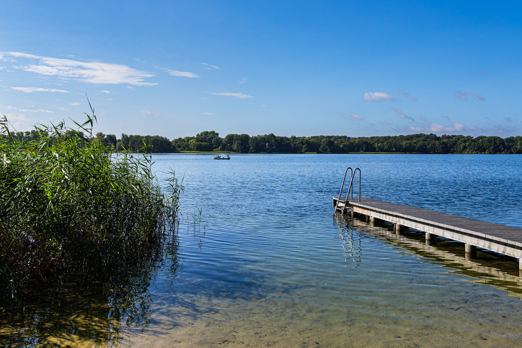 Steg und Schilf am Schaalsee im Sommer bei Lassahn | Steg und Schilf am Schaalsee im Sommer bei Lassahn.