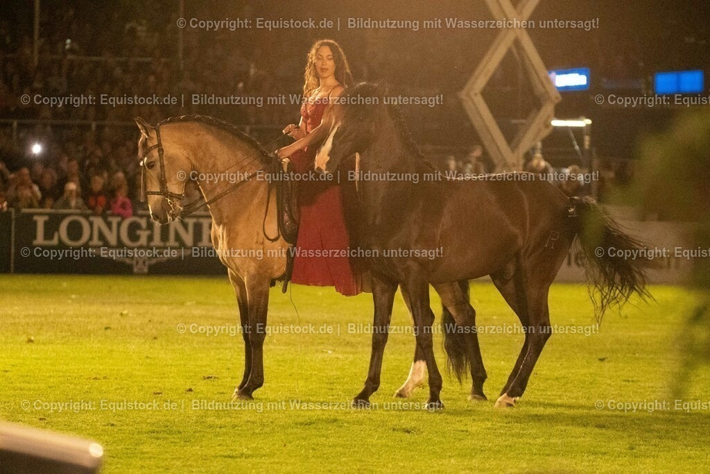 20230526_Pferdenacht_1439 | equistock
