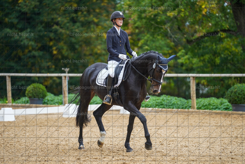 20221008-FAH01962 | Diessen am Ammersee, 2022, Dressur- und Springturnier, Reitsportbilder, Turnierfotografen Bayern, Pferdefotografen, Fotoagentur Herrmann, Turnierbilder