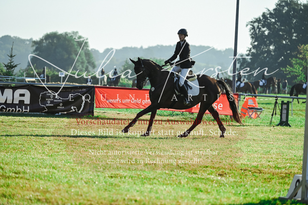 DSC_4180 | Pferde- und Turnierfotografie in Westsachsen. Pferdeportraits, Auftragszeichnungen und intuitive Kunst.