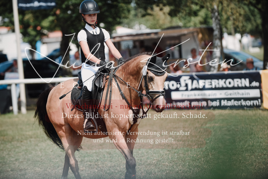DSC_5852 | Pferde- und Turnierfotografie in Westsachsen. Pferdeportraits, Auftragszeichnungen und intuitive Kunst.