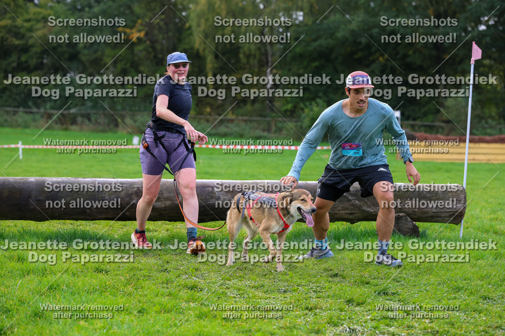 Dog Paparazzi -  SD1026-2254 | Dog Paparazzi Jeanette Grottendiek Fotografie & Videografie - Realisiert mit Pictrs.com