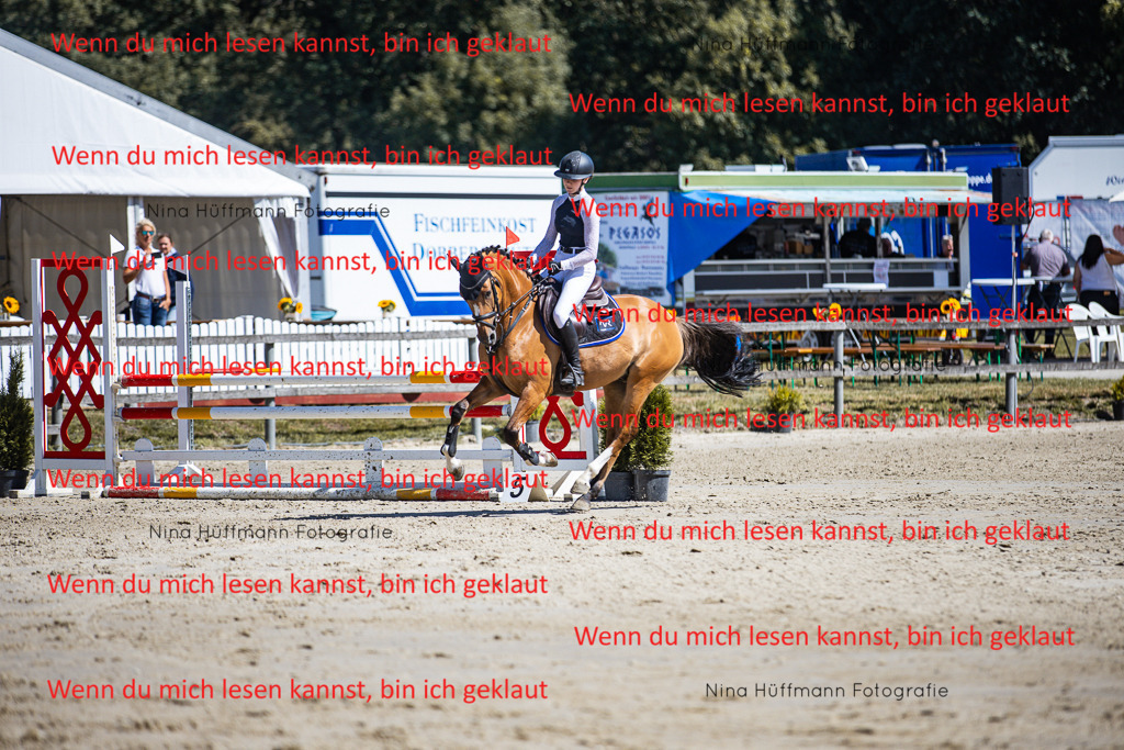 BK1A5436 | Turnierbilder Turnierfotos Nina Hüffmann Turnierfotografie Pferdefotografie Tierzeichnung Haustierzeichnung Pferdezeichnung Hundezeichnung Videograf  - Realisiert mit Pictrs.com