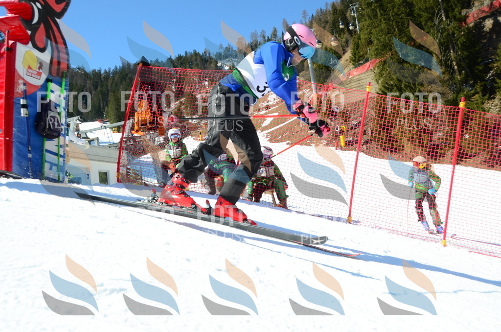 C6960 | holidayphoto