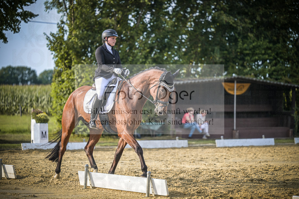 DOS_1469 | Entdecke hochwertige Reitturnierfotos von Foto Oger. Professionell, emotional und authentisch – jetzt Lieblingsmomente im Shop bestellen.Deutschlandweite Turnierfotografie. - Realisiert mit Pictrs.com