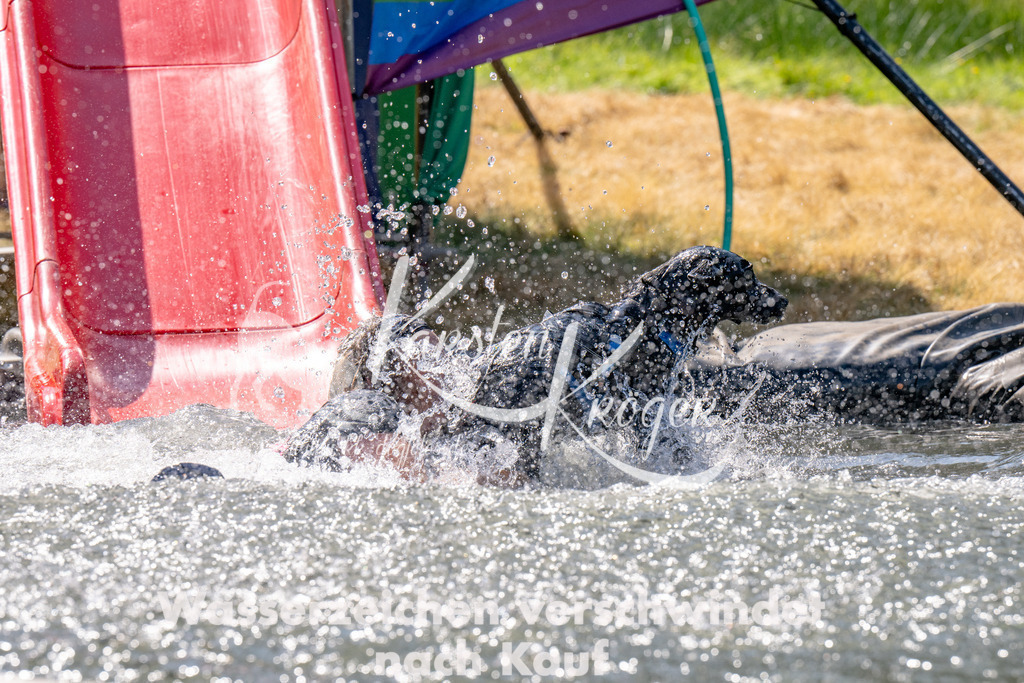 1219_ZZ91588 | kk-dogfotos