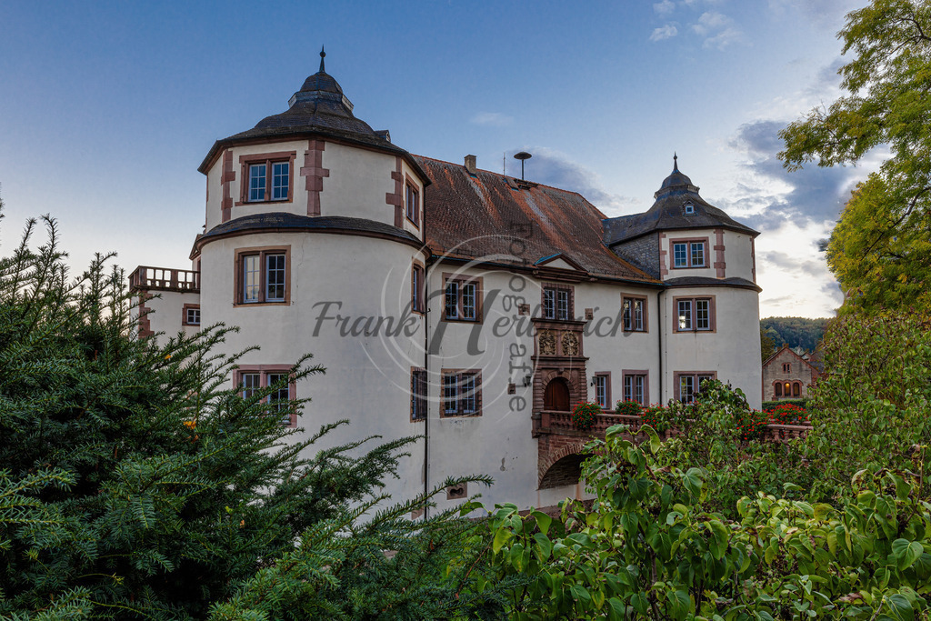 Hardheim Odenwald Schloss | Frank Herberich Fotografie, Frank Herberich, Fotografie, Hochzeit, Portrait, St. Peter Ording, Ording, Westerhever, Nordsee, Frank Fotografie, Hardheim,  Odenwald,Walldürn, Band,Eventfotografie - Realisiert mit Pictrs.com