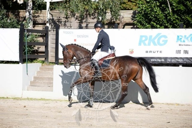 2B4A0638 | pixelfaenger - Realisiert mit Pictrs.com