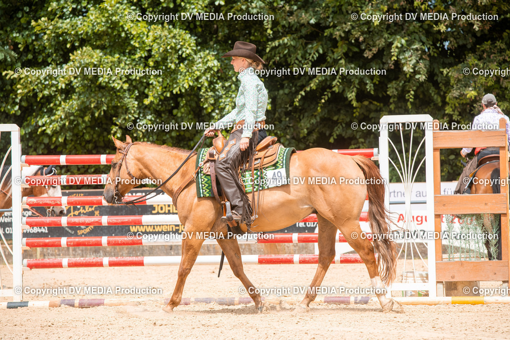 EWP_6246 | dv-media-shop - Realisiert mit Pictrs.com