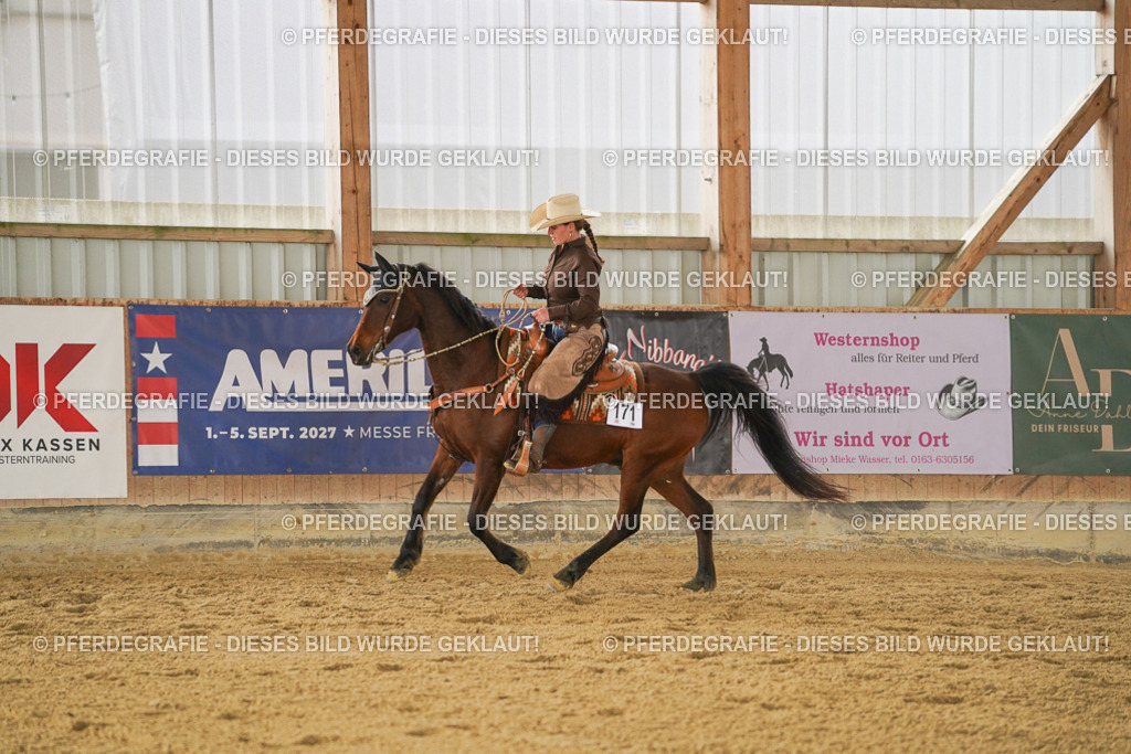 DSC04357 | Pferdegrafie