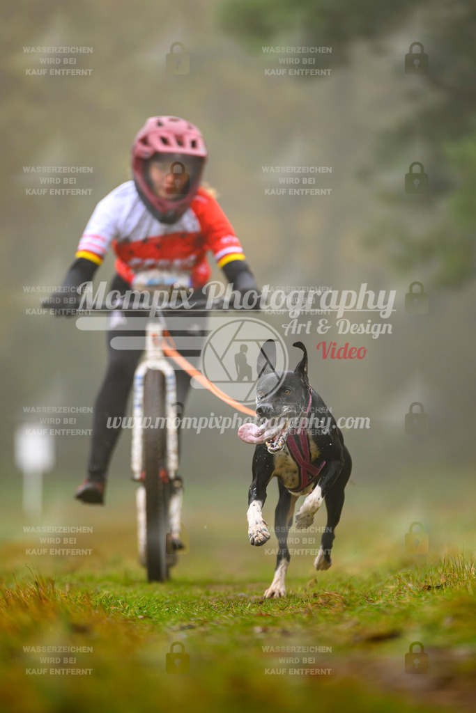 MompixPhotography_Bischwiller2025_Scooter-44 | mompixphotography