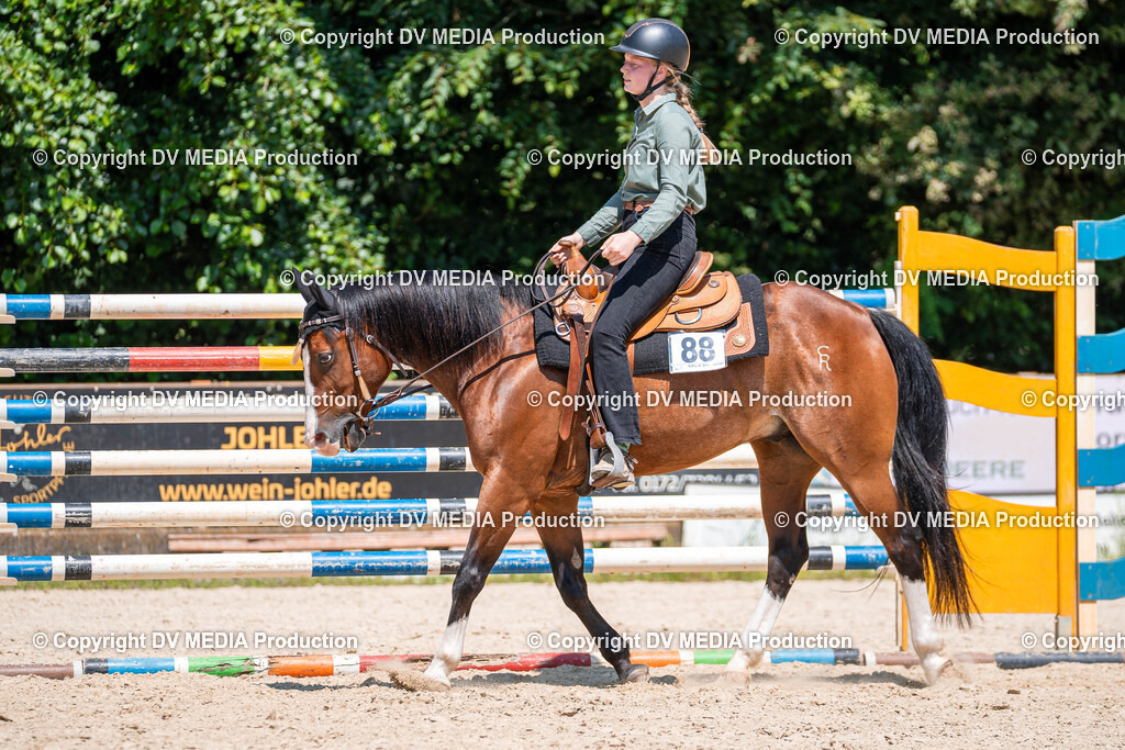 Zeiskam Tag 1-575 | dv-media-shop - Realisiert mit Pictrs.com