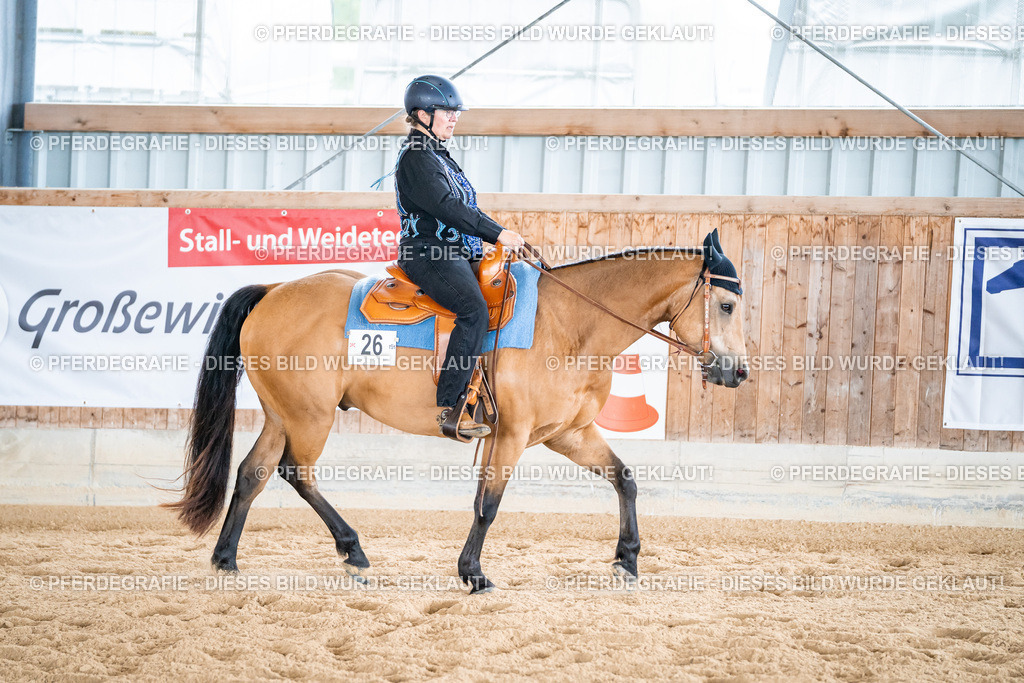 DSC02342 | Pferdegrafie