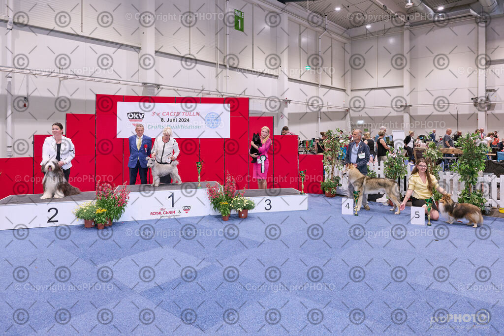 202406_ÖKV-IHA-Tulln24_NZ9_8654 | proPHOTO - Realisiert mit Pictrs.com