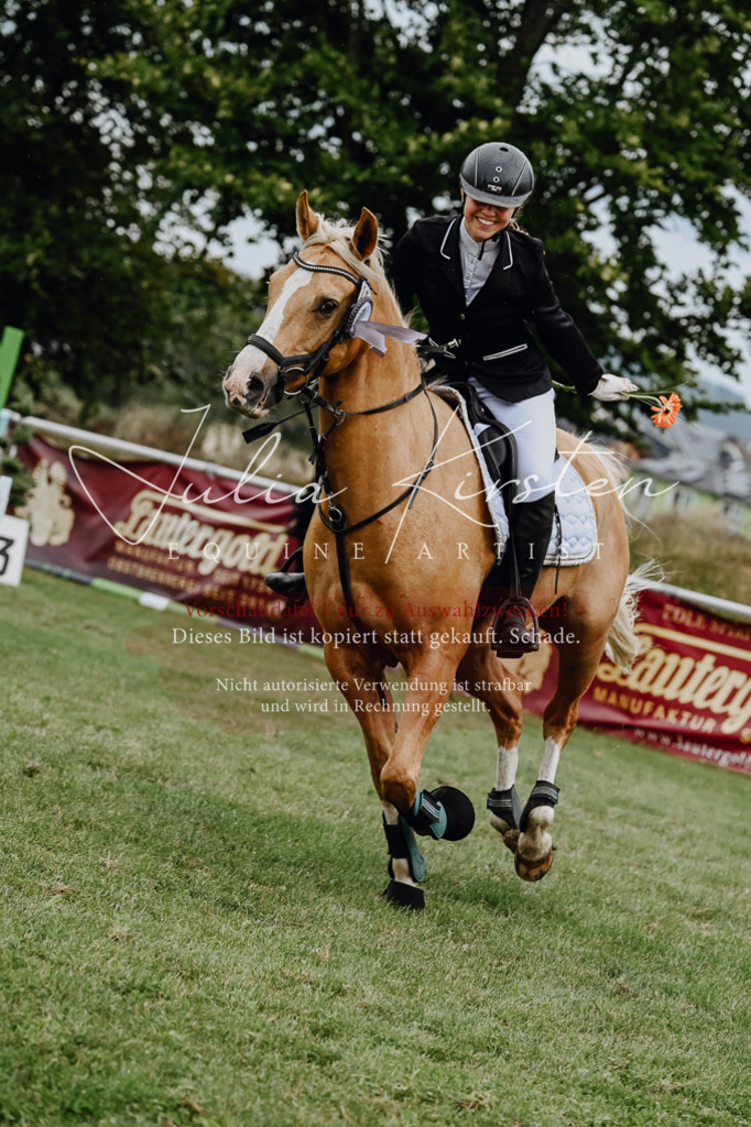 DSC_7135 | Pferde- und Turnierfotografie in Westsachsen. Pferdeportraits, Auftragszeichnungen und intuitive Kunst.