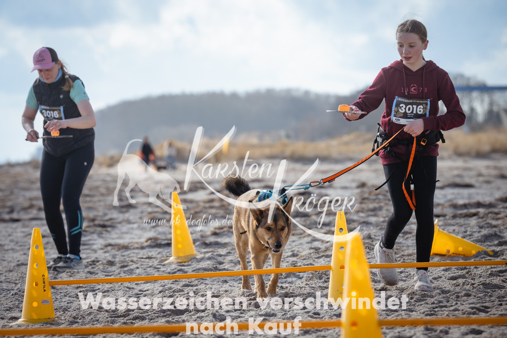 1258_ZZ99727 | kk-dogfotos