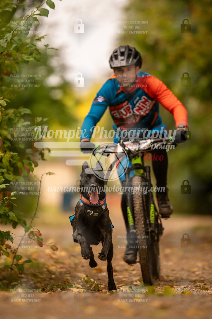 CDLBDB_14_10_2023_Samedi-109 | PayLife