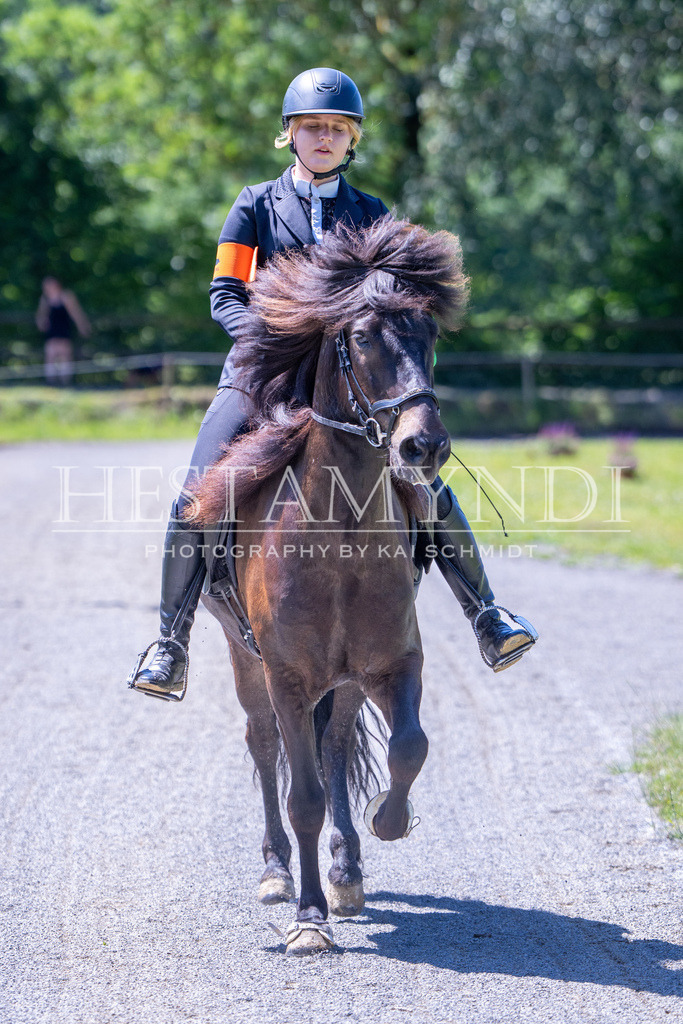 KAI08356 | Ihr sucht einen Fotografen für eure nächste OSI? Ich begleite auch euer Turnier für Islandpferde fotografisch.  - Realisiert mit Pictrs.com