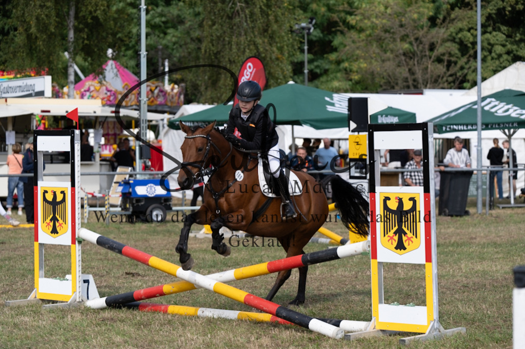 A7V08596 | Pferdefotograf