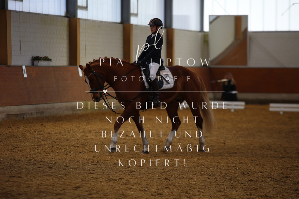 IMGT4022 | pl-fotografie