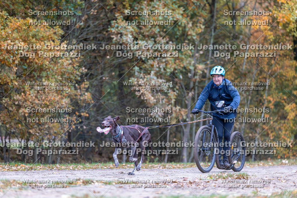 Dog Paparazzi - SD CaniX Championship 2025-12 | Dog Paparazzi Jeanette Grottendiek Fotografie & Videografie - Realisiert mit Pictrs.com