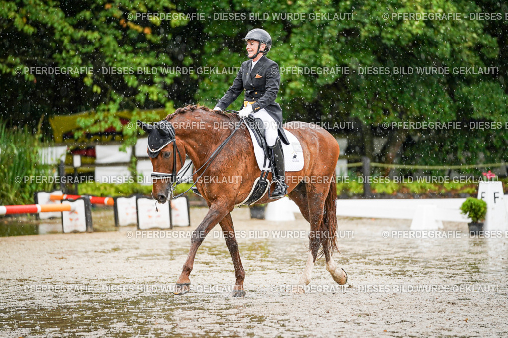 DSC09187 | Pferdegrafie