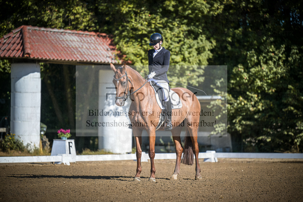 DOS_1954 | Entdecke hochwertige Reitturnierfotos von Foto Oger. Professionell, emotional und authentisch – jetzt Lieblingsmomente im Shop bestellen.Deutschlandweite Turnierfotografie. - Realisiert mit Pictrs.com