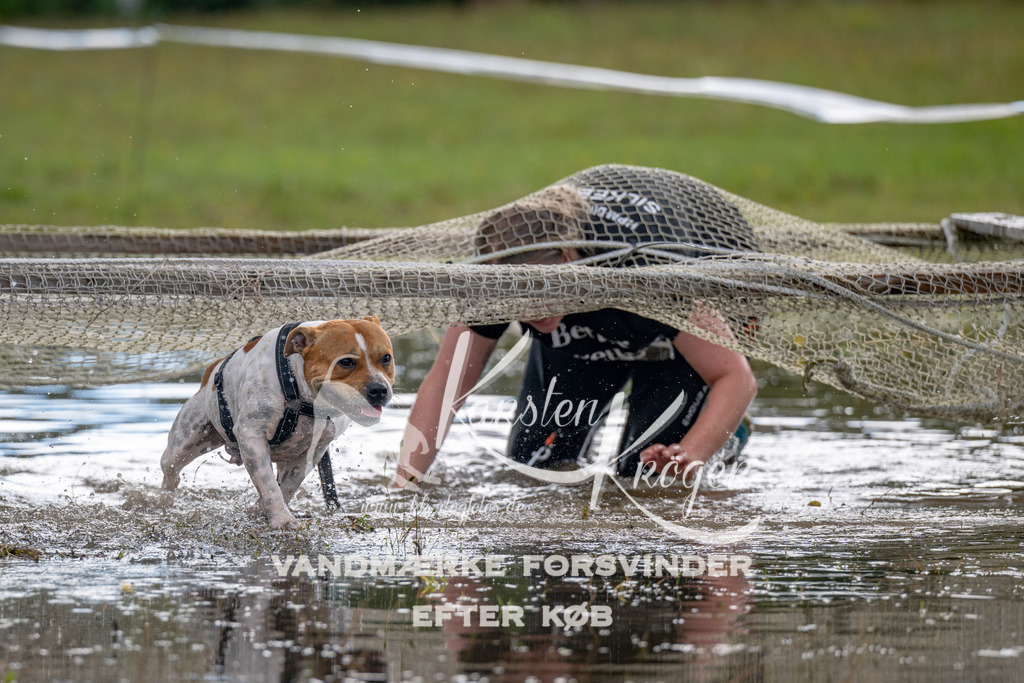 1349_ZZ90101 | kk-dogfotos