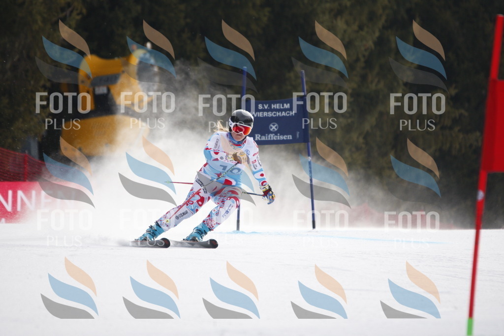 D4708 | holidayphoto