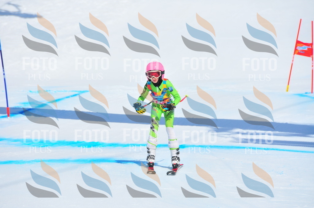 DSC_5030 | holidayphoto