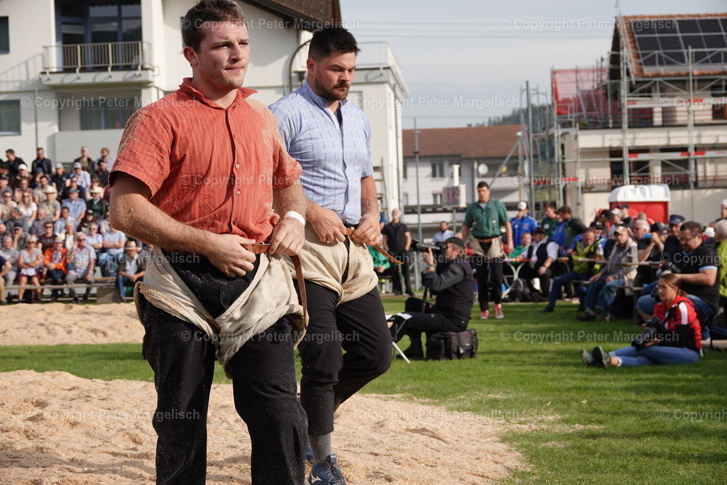 DSC08449 | Schwingen - Realisiert mit Pictrs.com