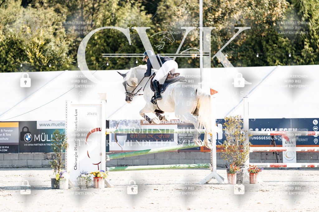 CK901598 | Turnierfotografie Pferdefotografie Trier Rheinland-Pfalz Pferdesport Reitsport Tierfotografie Sportfotografie Pferdevideo Pferdevideografie Equestrianvideography equestrianphotography  - Realisiert mit Pictrs.com