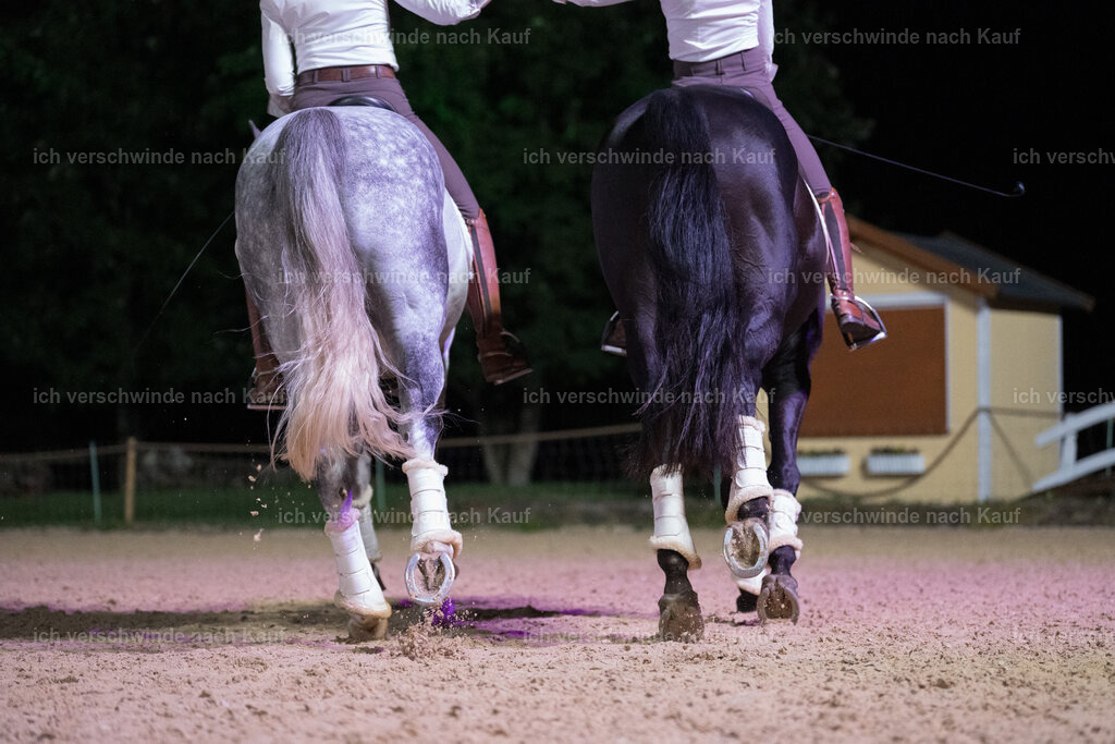 Gala-235 | working equitationturnier fotograf videograf stoibphotography marixx film working equitation deutschland reitsport turnierfotografie eventfotografie equestrian events