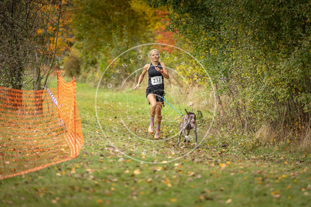 Pfotenfotografie_DV3A4452 | Hundefotografie, Tierfotograf, Pfotenfotografie, Fotoshooting Hund, Hunde Portrait, Hundesport, Hundeportraits, Heideshooting, Hunde, Sportfotograf, Hundefotograf, Turnierhundsport, THS,  - Realisiert mit Pictrs.com